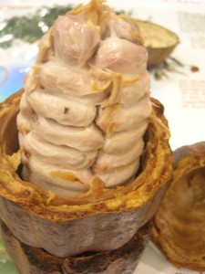 Salon_chocolat_Lyon_nov_2007_019