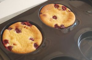 Clafoutis_griottes_amandes_003