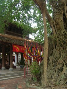 Vietnam_Nord___rue_du_Gast_320