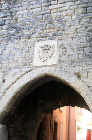 Carpentras__plantes_comest_Flassan_074