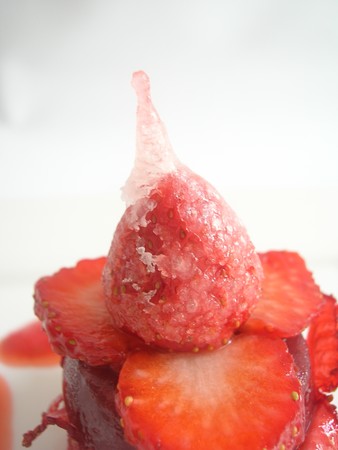 Fraise_dans_tous_ses__tats_025