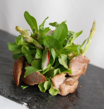 Aiguillettes_de_canard_aux_salades_sauvages_002