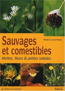 Carpentras_livre