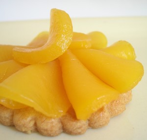 Mangue_rosace_sur_sabl__cf_A