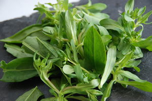 Aiguillettes_de_canard_aux_salades_sauvages_018