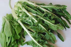 salades_italiennes_003