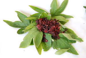 Saumon_en_feuilles_de_bissap_002