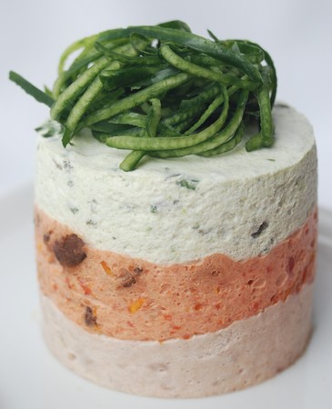 Bavarois_tricolore_thon_tomates_comcombre_009