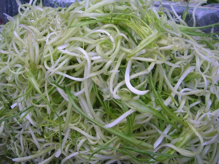 Rome_puntarelle_agretti