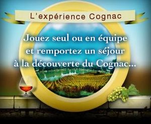 Cognac2