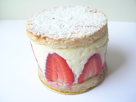 Fraisier_007