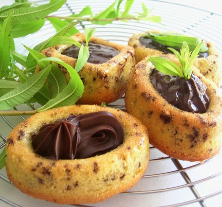 Tigr__ganache_verveine_001