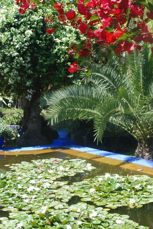 Marrakech_152