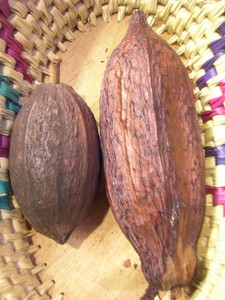 Salon_chocolat_Lyon_nov_2007_005