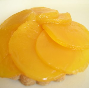 Mangue_rosace_sur_sabl__cf_A