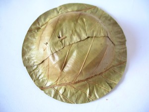 Inde_bol_jetable_001