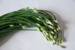 Salade de boeuf thaïe 023