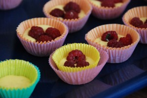 Food camp Grenoble 008