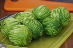 Food camp Grenoble 010