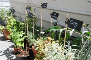 Food camp Grenoble 069