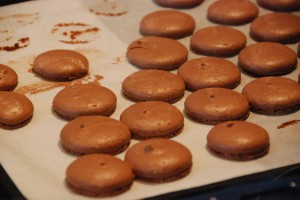 Food camp Grenoble 091