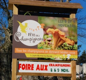 Fete champignons St Bonnet 8 nov 2014 (1)