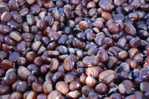 Fete champignons St Bonnet 8 nov 2014 (12)