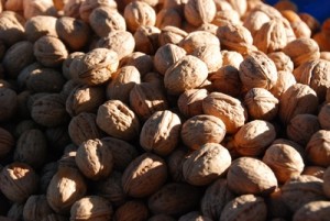 Fete champignons St Bonnet 8 nov 2014 (14)