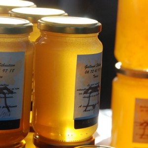 Fete champignons St Bonnet 8 nov 2014 (16)