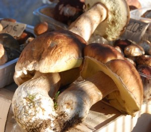 Fete champignons St Bonnet 8 nov 2014 (8)
