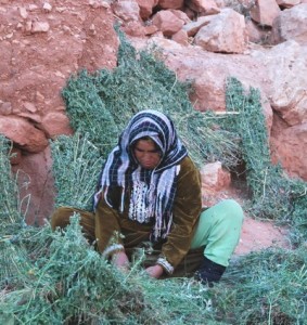 Maroc femme 2