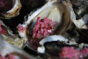 Charente maritime Pineau (2)