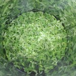 marche-des-saveurs-17